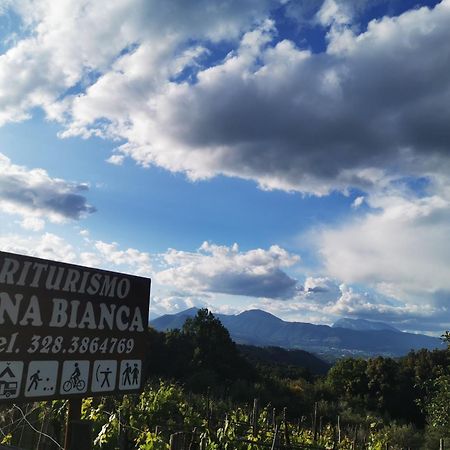 Agriturismo Donna Bianca مورمانو المظهر الخارجي الصورة