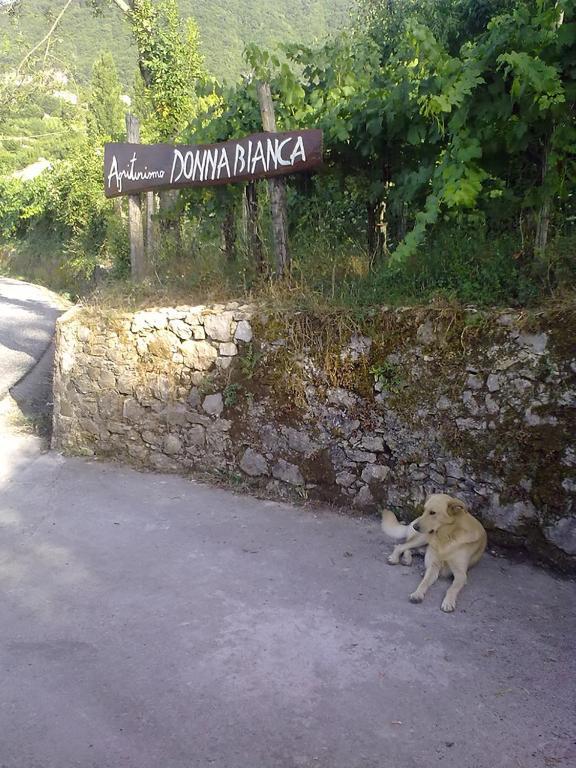 Agriturismo Donna Bianca مورمانو المظهر الخارجي الصورة